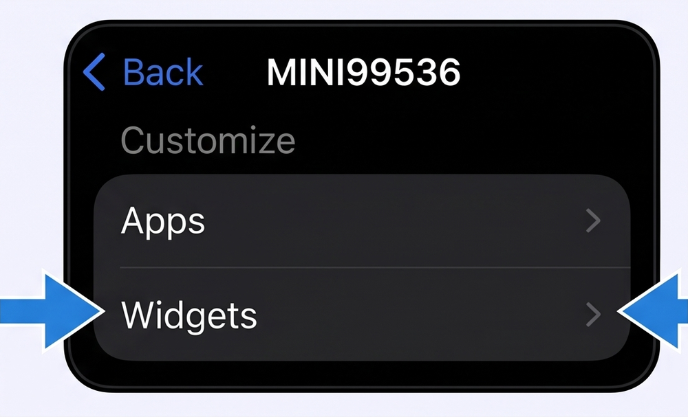 CarPlay customization menu with Widgets highlighted
